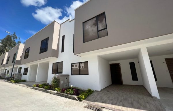 7ae6e62a-062d-4f25-8a2e-338dc9db6734