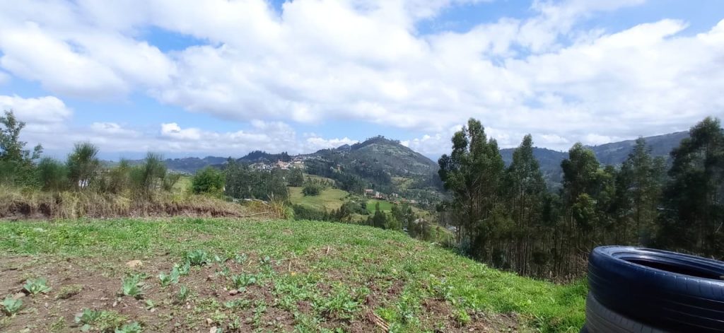 WhatsApp Image 2025-11-25 at 12.13.16 PM (1)