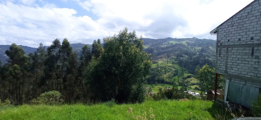 WhatsApp Image 2025-11-25 at 12.13.17 PM (1)