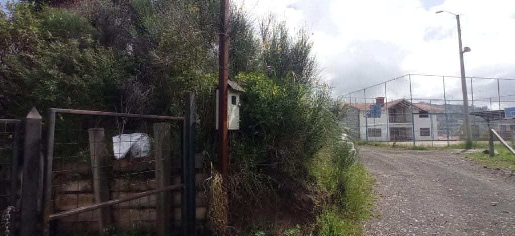 WhatsApp Image 2025-11-25 at 12.13.18 PM (1)