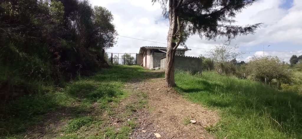 WhatsApp Image 2025-11-25 at 12.13.18 PM (2)