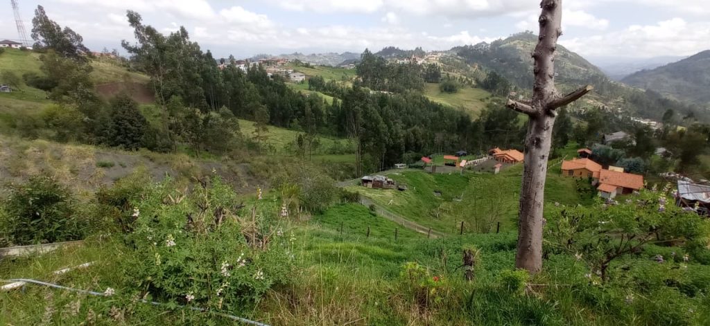 WhatsApp Image 2025-11-25 at 12.13.52 PM (1)