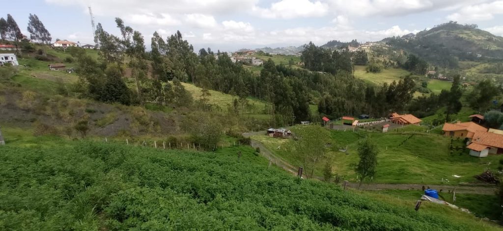 WhatsApp Image 2025-11-25 at 12.13.54 PM (1)