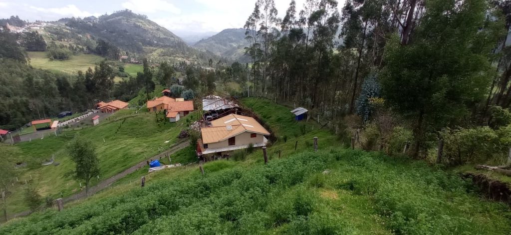 WhatsApp Image 2025-11-25 at 12.13.54 PM