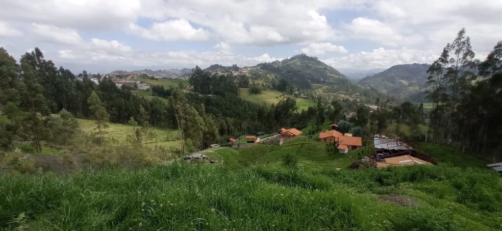 WhatsApp Image 2025-11-25 at 12.13.55 PM (1)