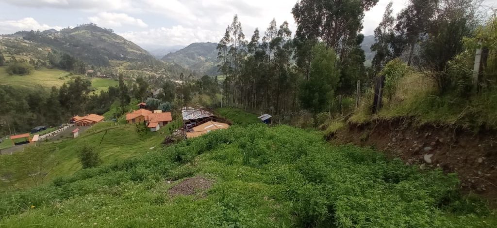 WhatsApp Image 2025-11-25 at 12.13.55 PM