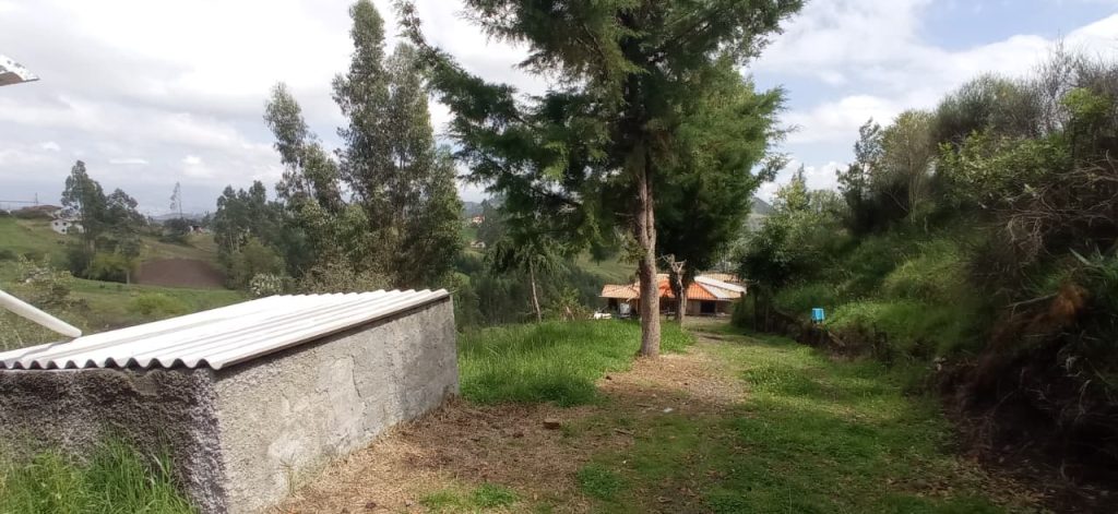 WhatsApp Image 2025-11-25 at 12.13.59 PM