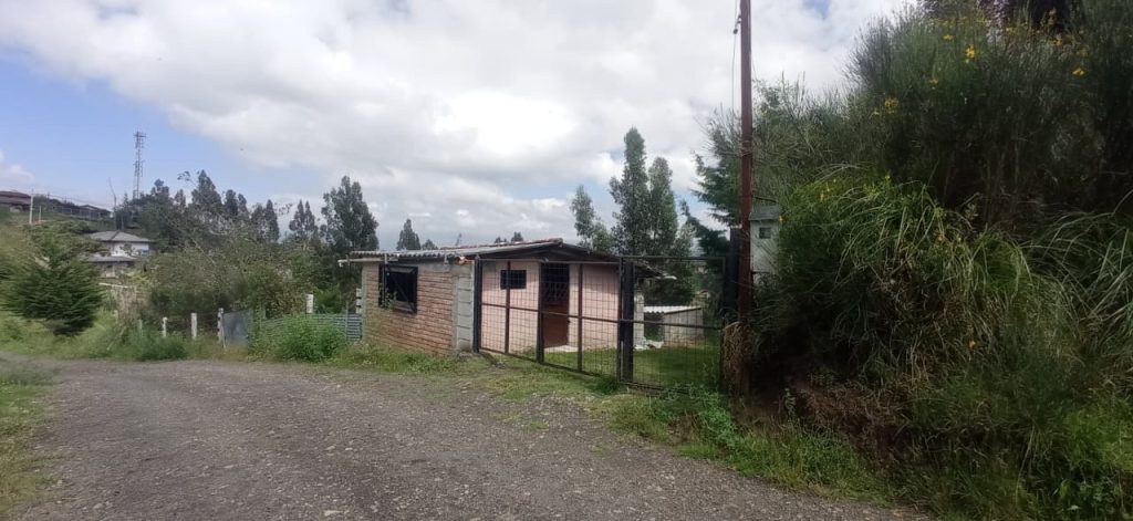 WhatsApp Image 2025-11-25 at 12.14.00 PM