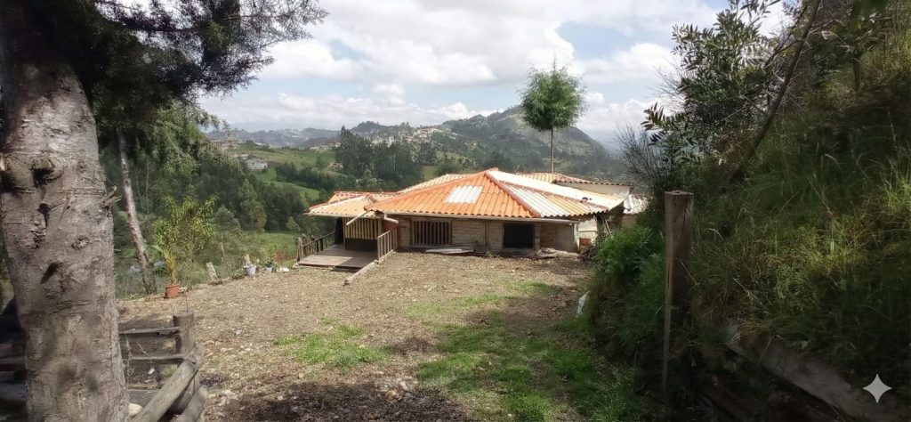 WhatsApp Image 2025-12-01 at 12.05.34 PM