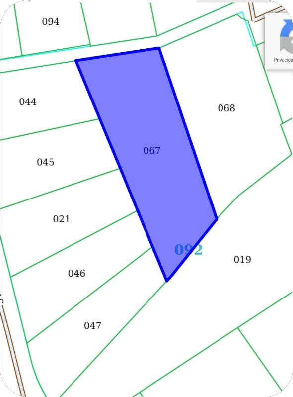 WhatsApp Image 2026-03-30 at 12.30.06 P